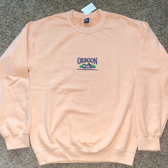 NEW BDG SZ XS URBAN OUTFITTERS DISTRESSED OREGON EMBROIDERED CREW SWEATSHIRT - Picture 2 of 6
